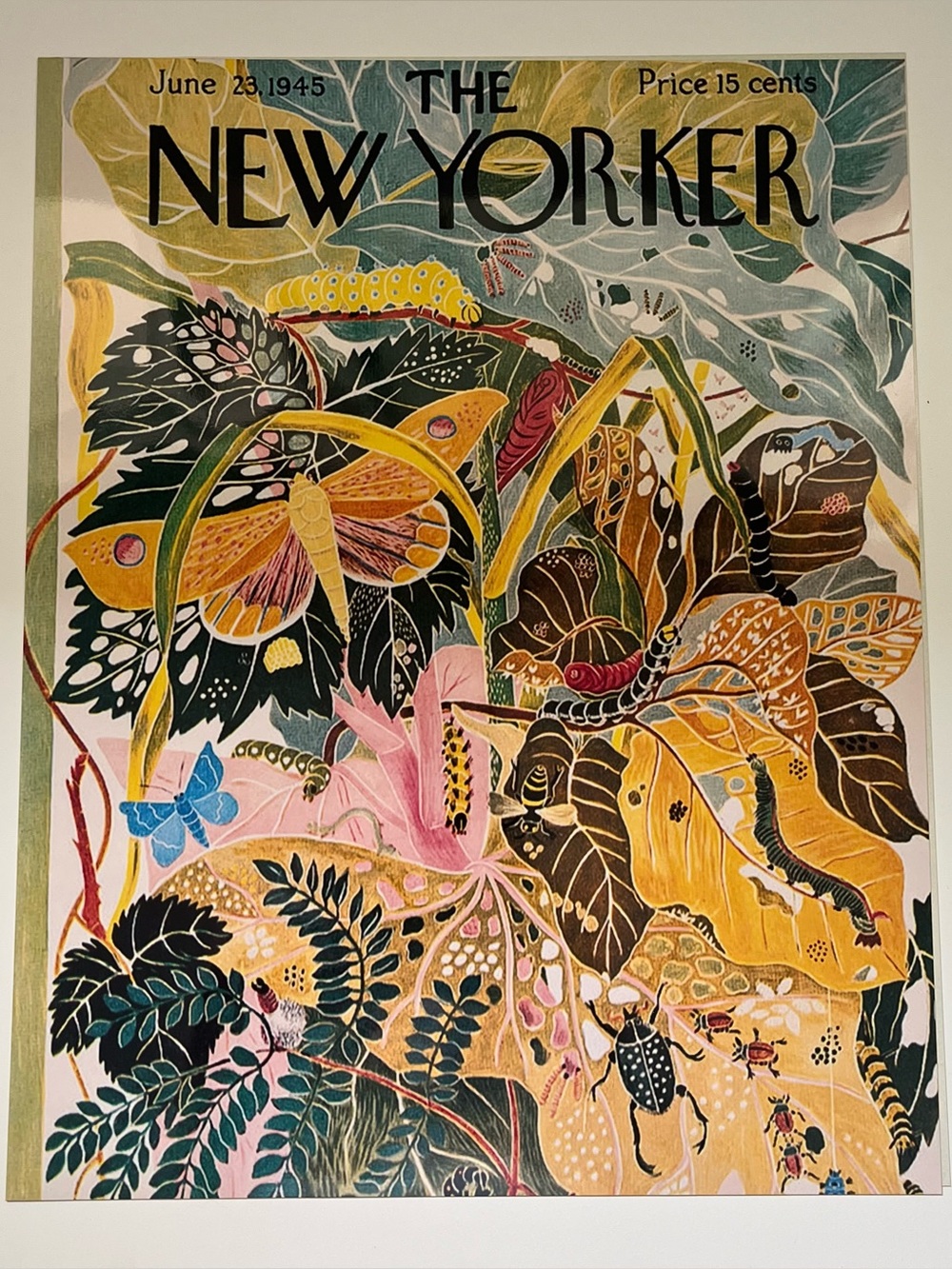 The New Yorker Magazine Vintage Wall Decor Prints 11” x 14”